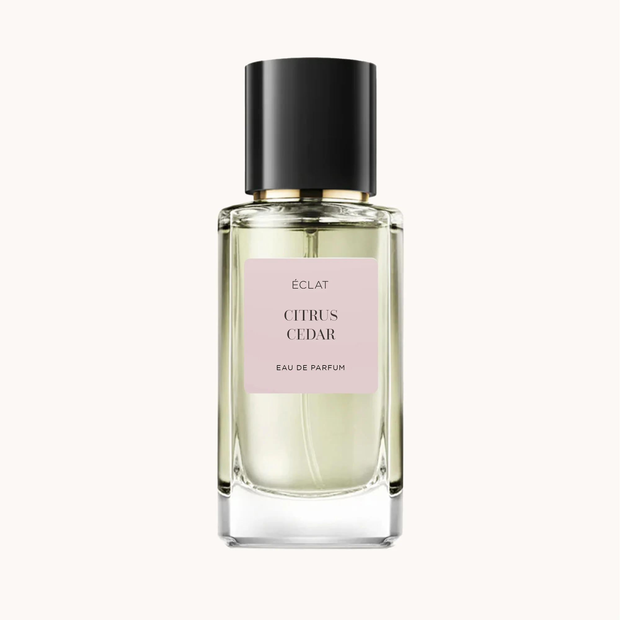 ÉCLAT 241 - Citrus Cedar - Image 3